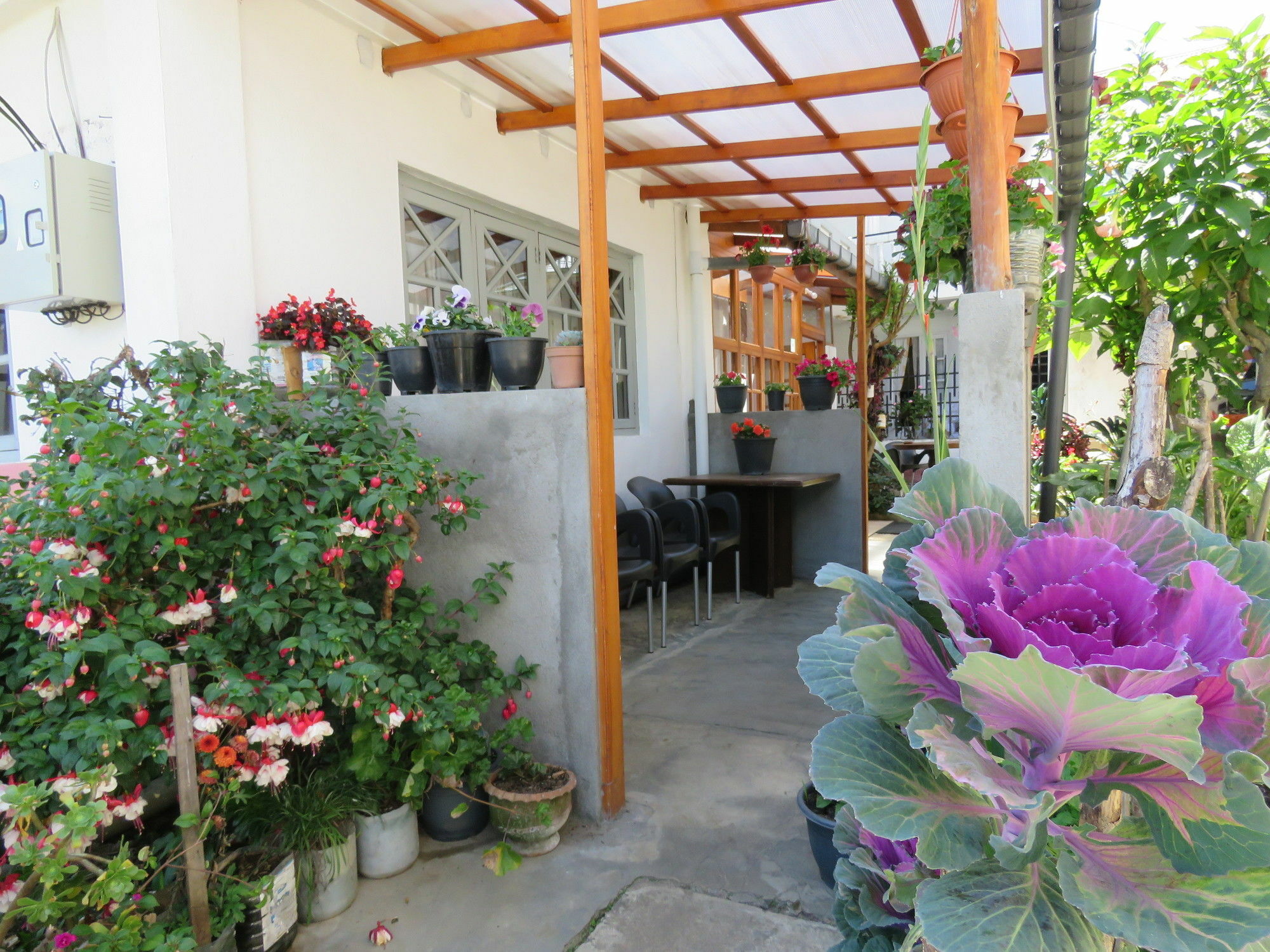 努沃勒埃利耶 Carnation Rest酒店 外观 照片